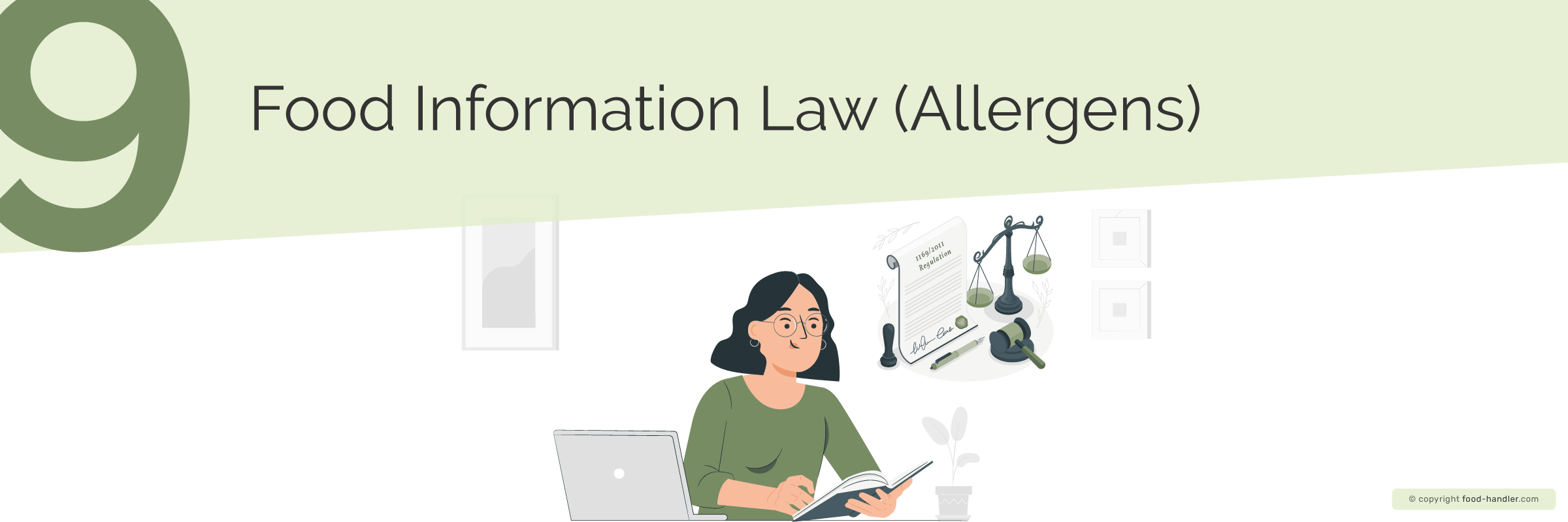 Food Information Law (Allergens)