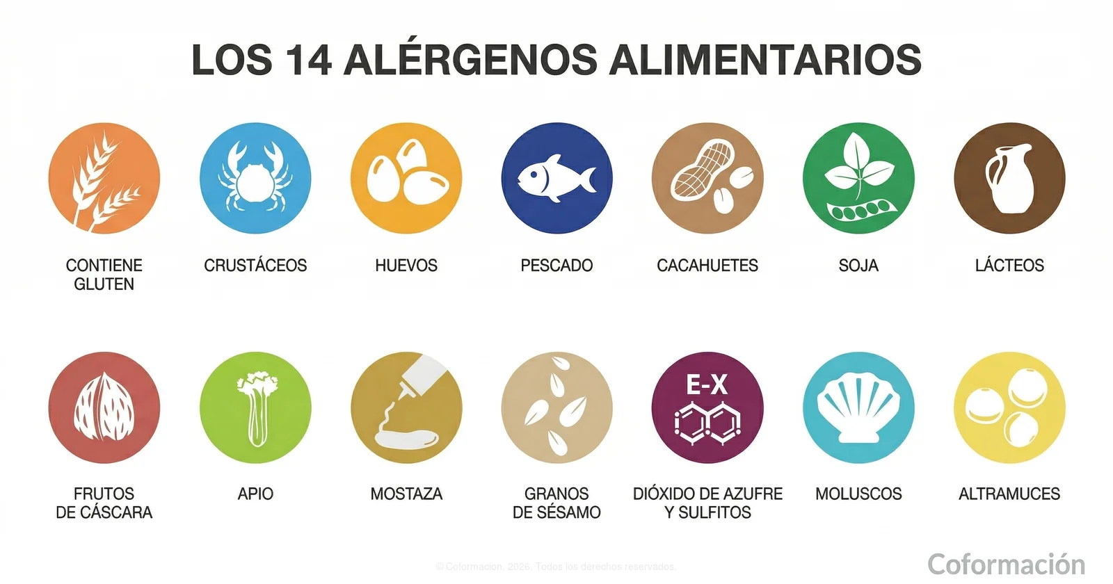 Los 14 Alérgenos Alimentarios - Coformación